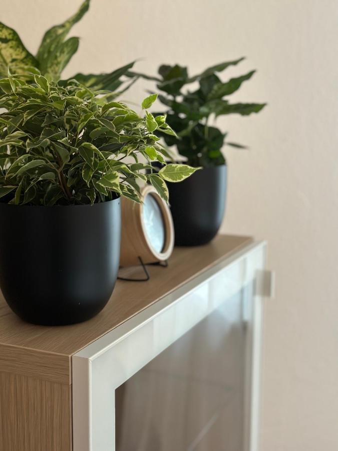 Elena Appartement